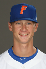 baseball_images_bioimg2016_167