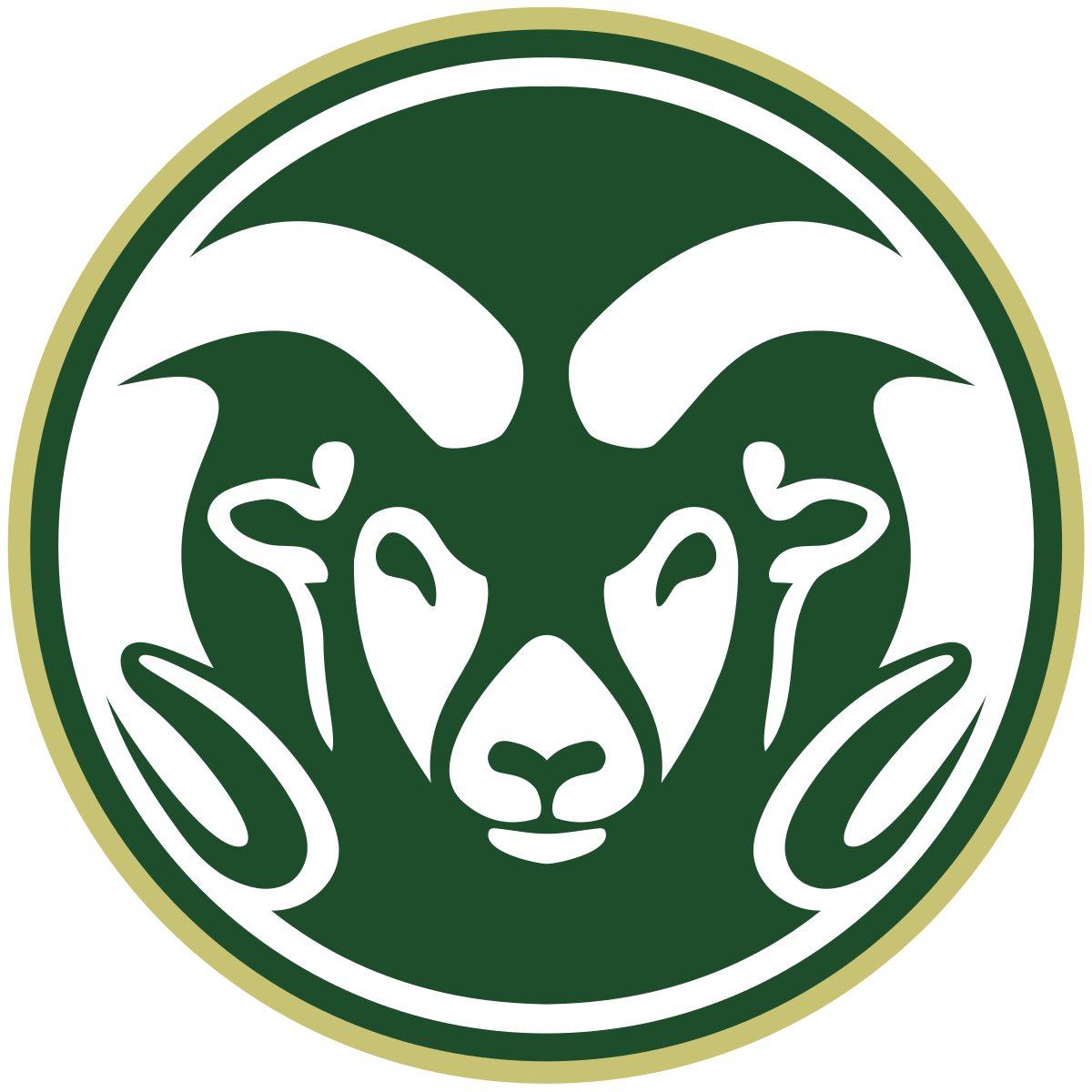 Madden NFL 20 Draft Class Prospects – Colorado State Rams