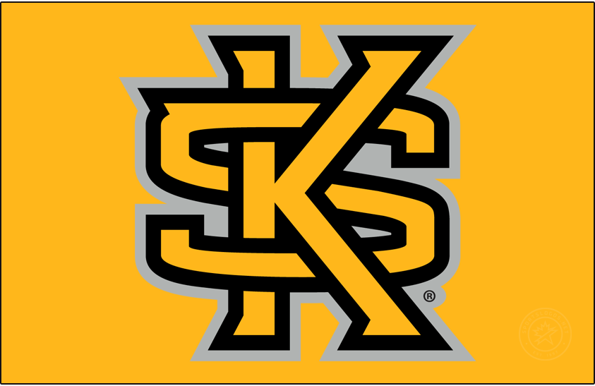 Madden NFL 25 Draft Class Prospects – Kennesaw State Owls